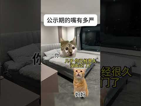 猫の動画サムネイル - 公示期的嘴有多严 #有趣 #猫meme #猫meme剧场 #内容过于真实  #故事 #貓 #猫猫meme小剧场 #喵不可言