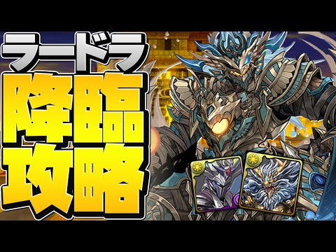 ラー＝ドラゴン降臨を多色最強キャラでぶっ壊す！+超転生ラードラ強化決定！【パズドラ】