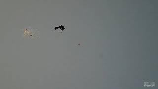 87 bird shoot, ShotKam