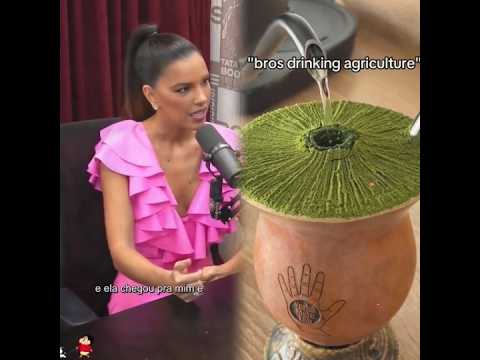 história fui num casamento de penetra Mariana rios  #casamento #marianarios #historia #poddelas