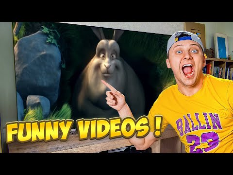 Funniest Clips of the Week 🤣 Ultimate Funny Moments Compilation 🤣