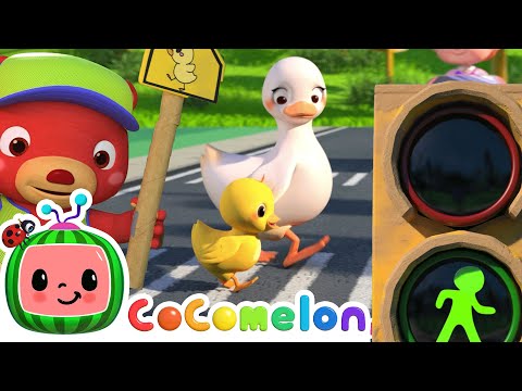 Eram cinco patinhos🪿🚦 |  CoComelon | Músicas Infantis e Desenhos Animados em Português