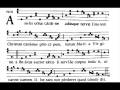 Phrases and Sections Analysis