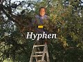 Understanding Hyphen Usage in Writing