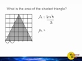 Triangle Measurements and Area Concepts