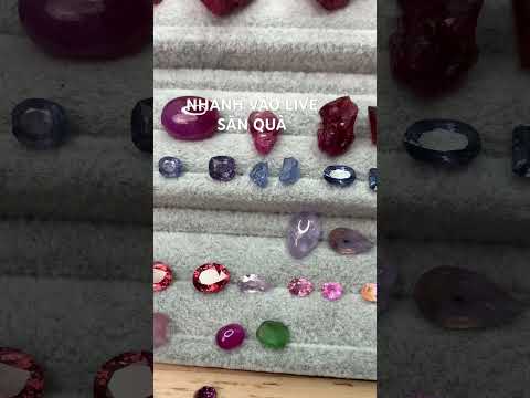 Đang live có quà đầu live od #daquy