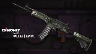 Galil AR Vandal Gameplay