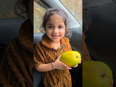 ലെ സിവ: പച്ച മാങ്ങ തന്ന് പറ്റിക്കാൻ നോക്കുന്നോ😡😤 Ziva❤️ #ziva #jubibazi #manga #mango #cute #baby