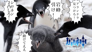 【原神 】参加型  探索にデイリーに樹脂消化と週ボス、 原神はやることが多いね！ あとデートと釣りと七聖召喚と...  #shorts 【G