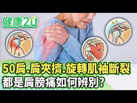 50肩、肩夾擠、旋轉肌袖斷裂 都是肩膀痛如何辨別？【健康2.0分段】@tvbshealth20  EP3231-2 20260919 #鄭凱云#花世源#陳相宏#鄭雲龍#彥寬#許聖梅