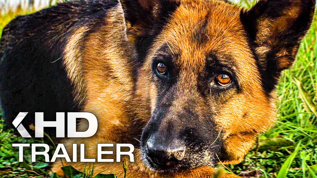 Ein Hund namens Palma Vorschaubild des Trailers