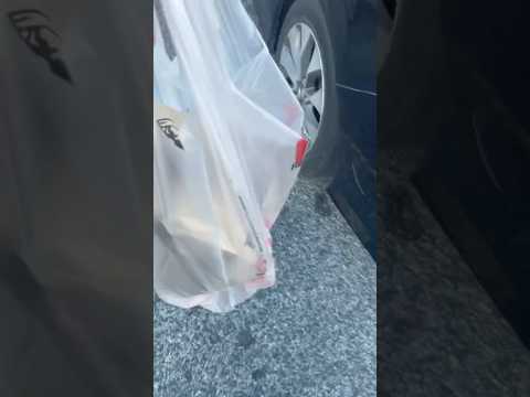 Sunday running around