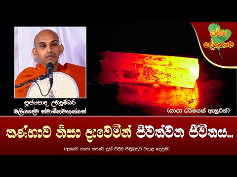 Ven Udadumbara Maliyadewa Thero | 2024-09-20 | 10:00PM (තණ්හාව නිසා දැවෙමින් ජීවත්වන ජීවිතය...)