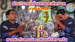 ด่วน! งวดนี้ห้ามพลาดเด็ดขาด ตามต่อกับ "ดงแม่ตะเคียน" ที่วัดขาครีม งวด1ส.ค.68 | รัชนี ชาแนล
