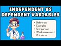 Understanding Variables in Experiments