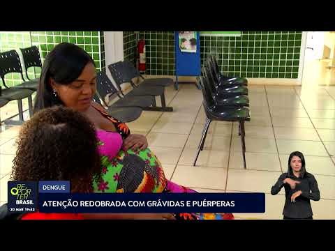 Grávidas devem ter atenção redobrada na prevenção da dengue