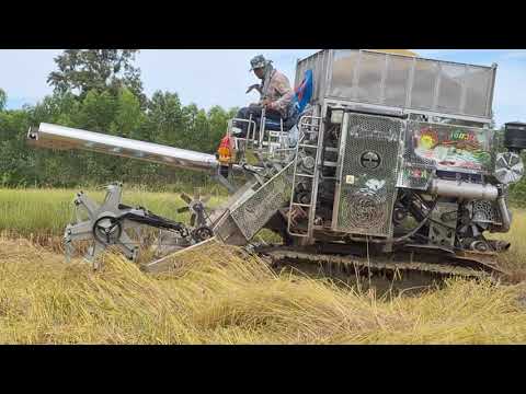 รถเกี่ยวข้าวจรวดทางเรียบพรกินรี 2024 เลสทั้งคันป๋าเหลิมจัดเต็ม combine harvester