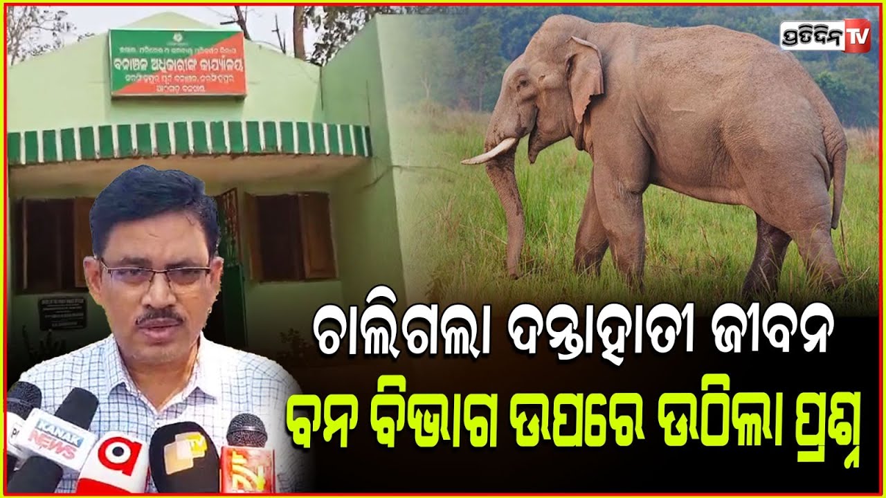 ଥମୁନି ହାତୀ ମୃତ୍ୟୁ , ପୁଣି ଚାଲିଗଲା ଆଉ ଏକ ଦନ୍ତାର ଜୀବନ ! Cuttack elephant death