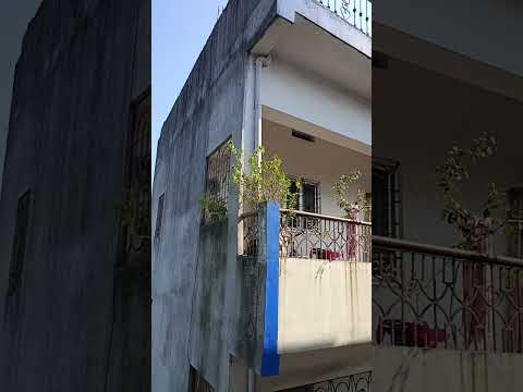 बड़ी बड़ी बिल्डिंग है##subscribe #trending# viral shorts 🌲🌲