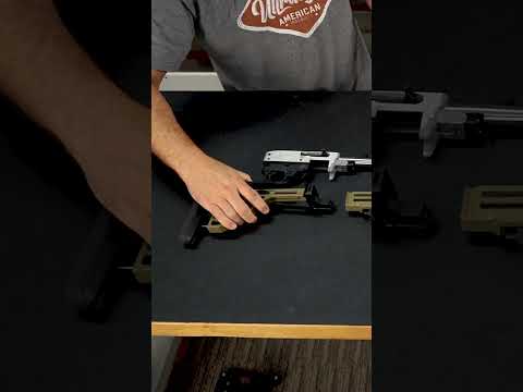 Chassis for Ruger 10/22