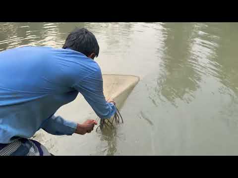 Beautiful village fishing #beautiful #village #fishing