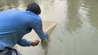 Beautiful village fishing #beautiful #village #fishing