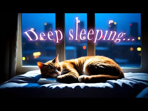 편안한 수면 음악 8시간 • 잠자는 음악, 편안한 음악, 빨리 잠들기 relaxing cat music,piano love song