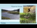 Watershed Conservation and Importance
