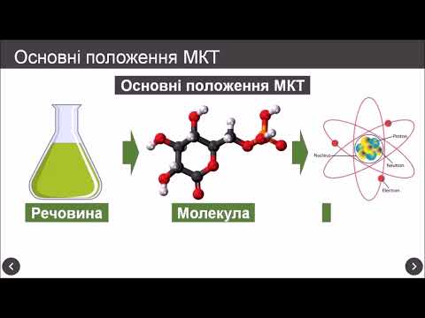 Основні положення МКТ