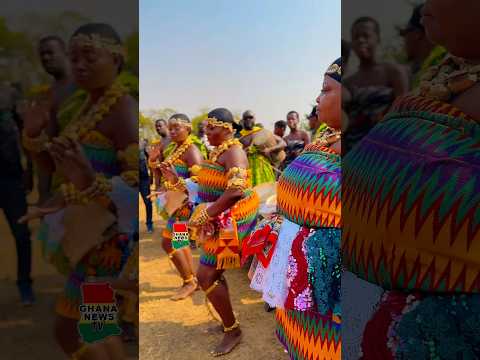 Colourful: Watch beautiful Ashanti women dance to traditional drum tune on Akwasidae #asante