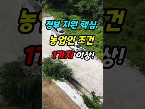 정부 지원 핵심, 농업인 <strong>조건</strong> 1가지 <strong>이상</strong> #농업인 #농업 #농업경영체 #농사  #착한부동산