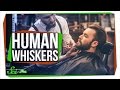 Understanding Whiskers in Animals