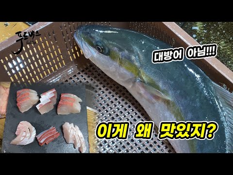 이 시기에  이게 왜  맛있지? 그런데  가격도 저렴...  무슨 생선일까요?