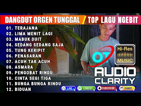 DANGDUT ORGEN TUNGGAL LAGU NGEBIT 2024 - PENASARAN TUNG KERIPIT - FULL ALBUM LAGU NGEBIT