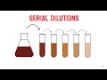 Bacterial Dilution Techniques and Calculations
