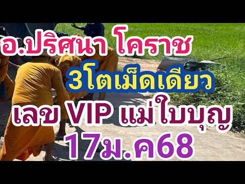 อ.ปริศนา โคราช #ฟันโตเม็ดเดียว# เลขVIP แม่ใบบุญ# เม็ดเดียว#17ม.ค68