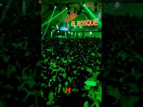 Mambo DJ x Caserio vs Bosque #ellaquiere #rkt