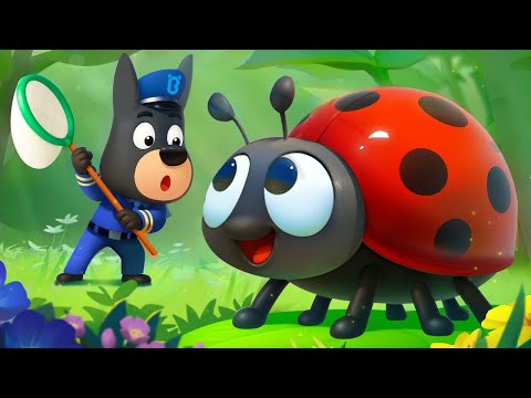 Misión de Atrapar Insectos 🐞 Dibujos Animados 🔍Sheriff Labrador en Español