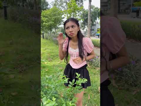 SNS - Tìm kiếm mèo con || looking for kittens #shorts