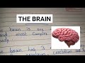 Functions and Protection of the Brain