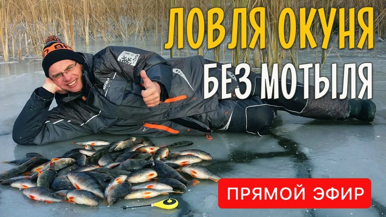 Как ловить окуня на мормышку без насадки? Безмотылка или ловля на голого. Прямой эфир
