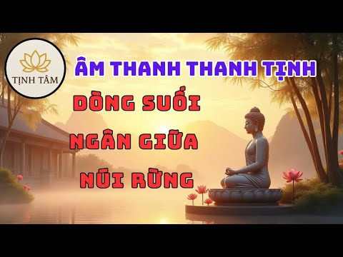 Âm Thanh Thanh Tịnh – Ánh Trăng Vàng Trên Hồ Tĩnh Lặng