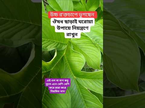 #shortvideo #shorts #motivation