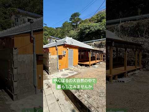 沖縄県 #国頭村 #不動産 #古民家 #賃貸 #一戸建て 大自然の中でゆっくりのんびり暮らしてみませんか