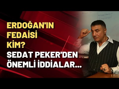 Sedat Peker yeni isim verdi: Erdoğan'ın fedaisi...