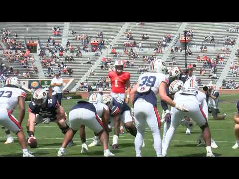Auburn A-Day Football scrimmage gives a glimpse into the next season