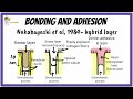 Adhesion and Bonding in Dentistry