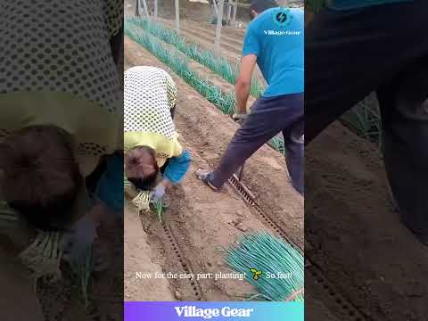 GENIUS Onion Planting HACK! 🤯 Watch This Tool Make PERFECT Holes in ONE SECOND! So Satisfying!