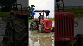 Mahindra 575 XP Plus Mud Test 🚜💪 #mahindra #tractorvideo #shorts