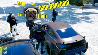 CEL MAI PROST DIICOT! PARTEA 2! • FIVEM